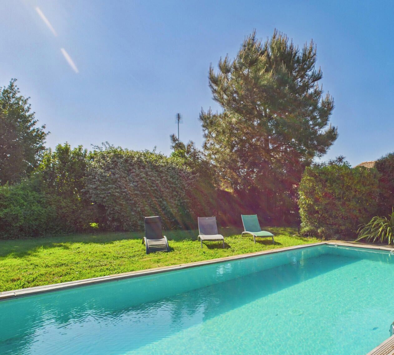 A clear blue pool with three lounge chairs and a large tree in the background.