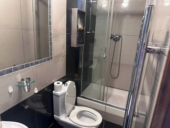 Appartement | Salle de bain | Douche, serviettes fournies