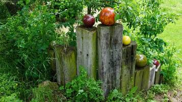 House | Property grounds