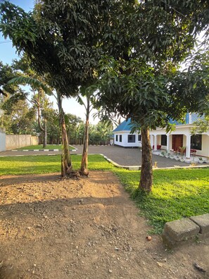 Property grounds - Spacious 4-bedroom apartment in peaceful Arusha with WiFi (Arusha)