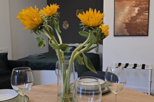 Apartamento Confort, 1 cama doble con sofá cama, no fumadores, baño privado | Zona de estar | Una televisión