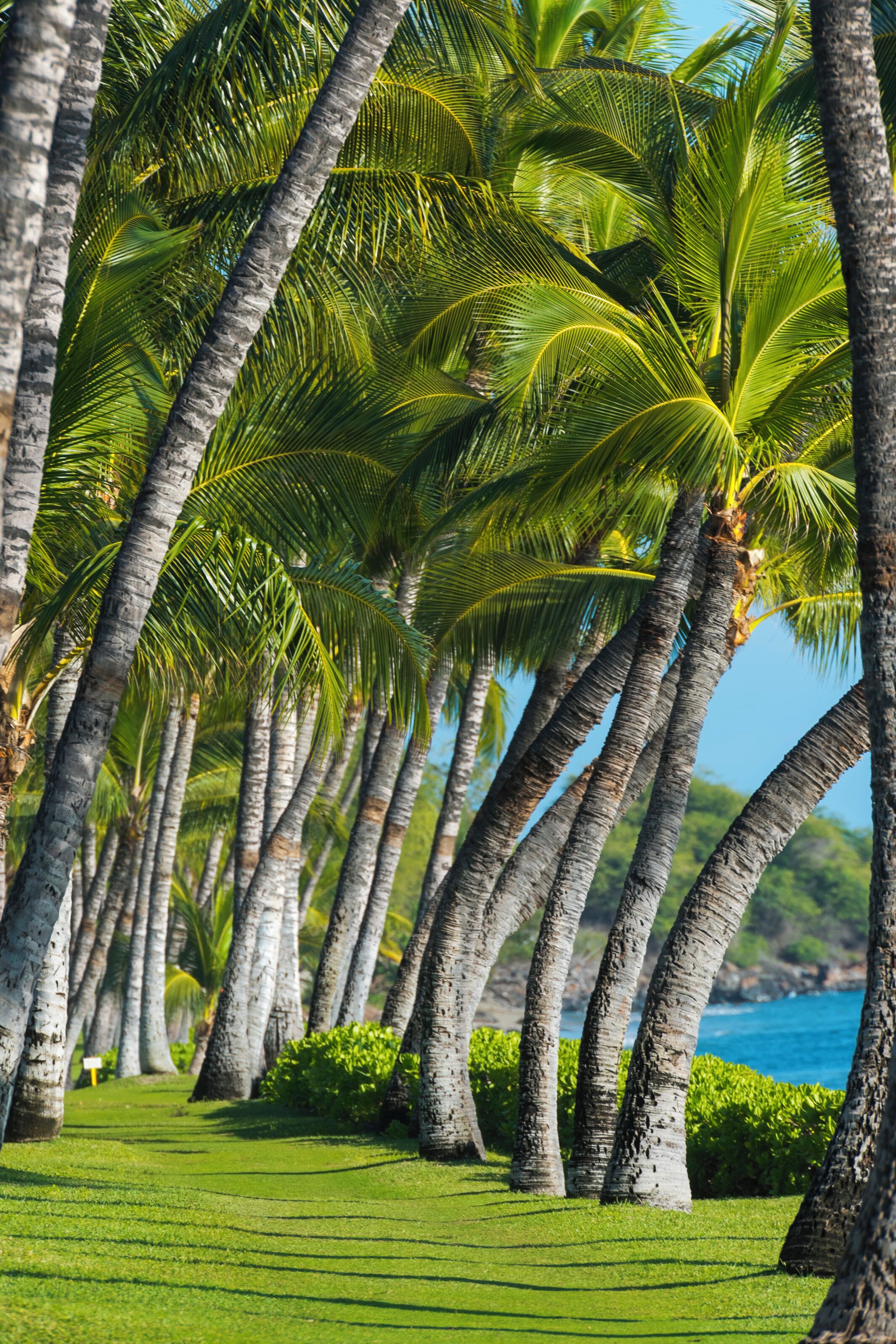 Àrea exterior de l'allotjament