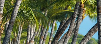 Puamana 177-3 – Elegant Garden Retreat in South Puamana