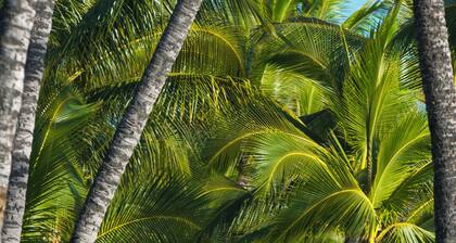 Puamana 177-3 – Elegant Garden Retreat in South Puamana