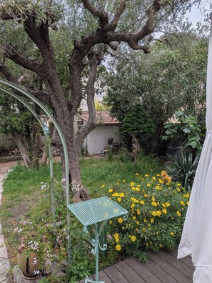 Un jardin avec une table en métal, un grand arbre et des fleurs jaunes.