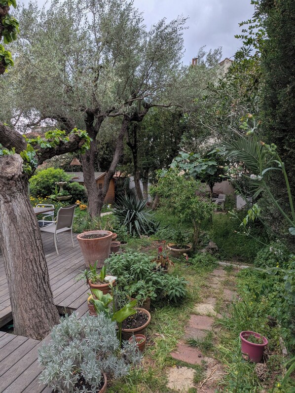 Un jardin agrémenté de plantes en pot, d’une terrasse en bois et d’un chemin pavé de pierres.