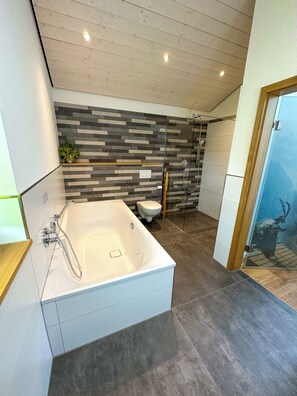 Shower, hair dryer, bidet, towels