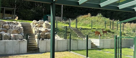 Restauration en plein air