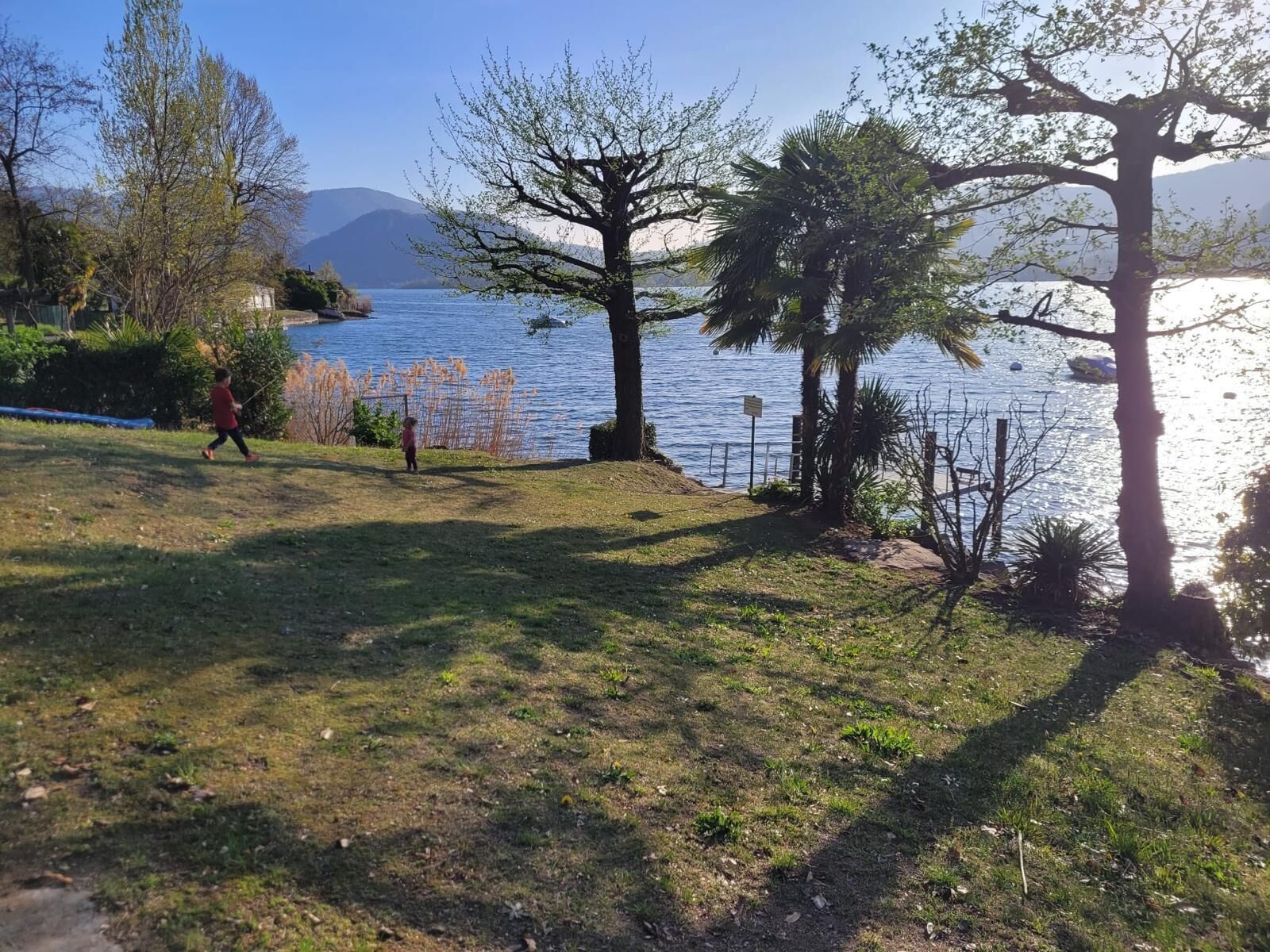 A grassy area with trees and a body of water.