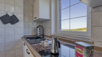 Standard Apartment, 2 Bedrooms (Neda Apartment In Krasno Among) | Private kitchen | Fridge, oven, stovetop, coffee/tea maker