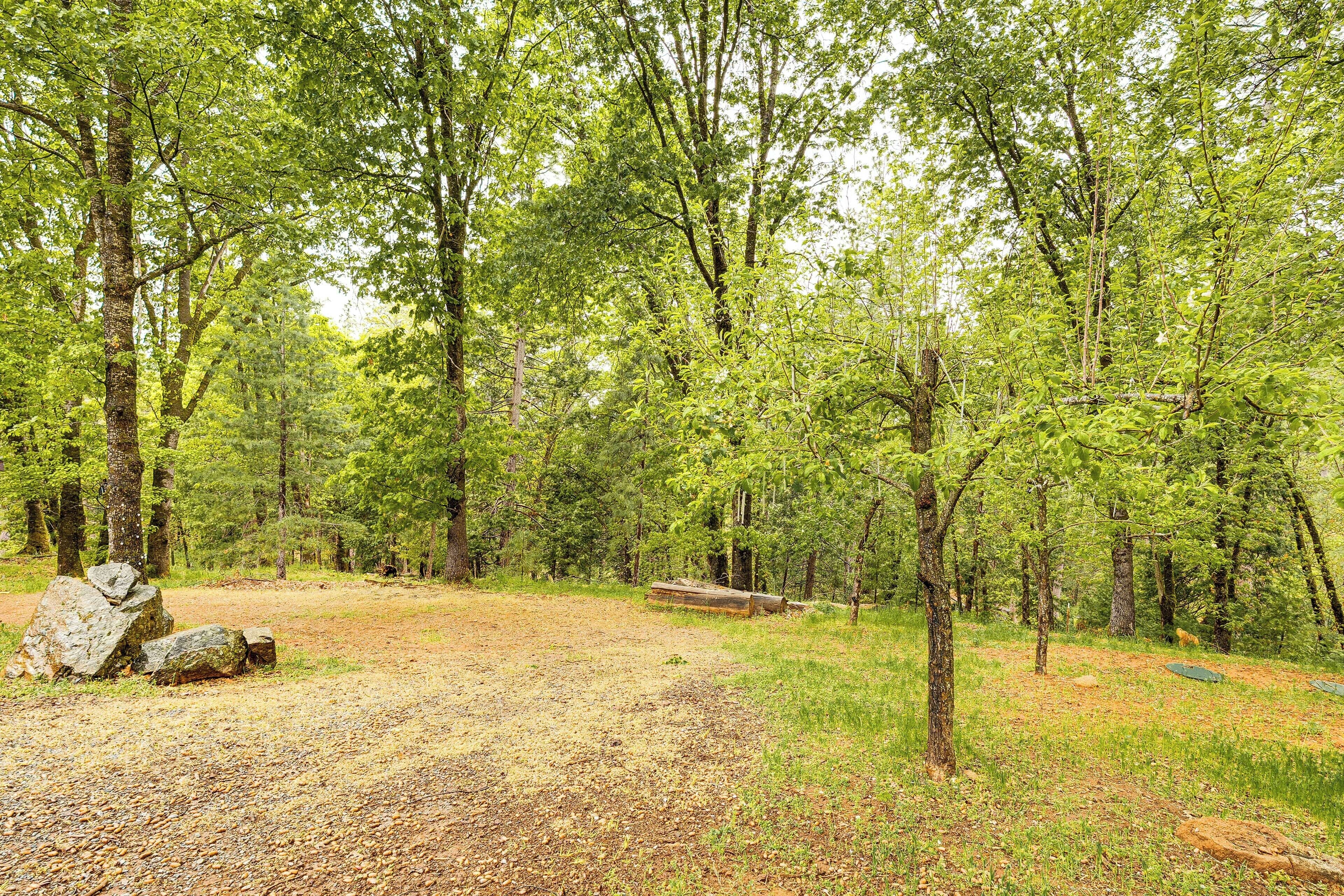 Un terrain de camping boisé, avec un sentier de terre, de gros rochers et des arbres.