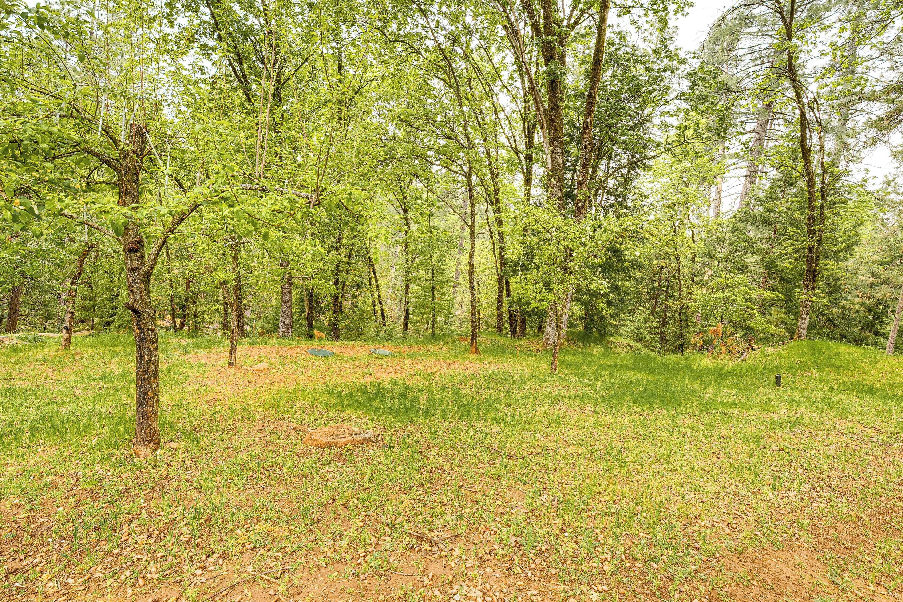 Apartment (0 Bedroom) | Interior