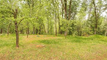 Apartment (0 Bedroom) | Interior