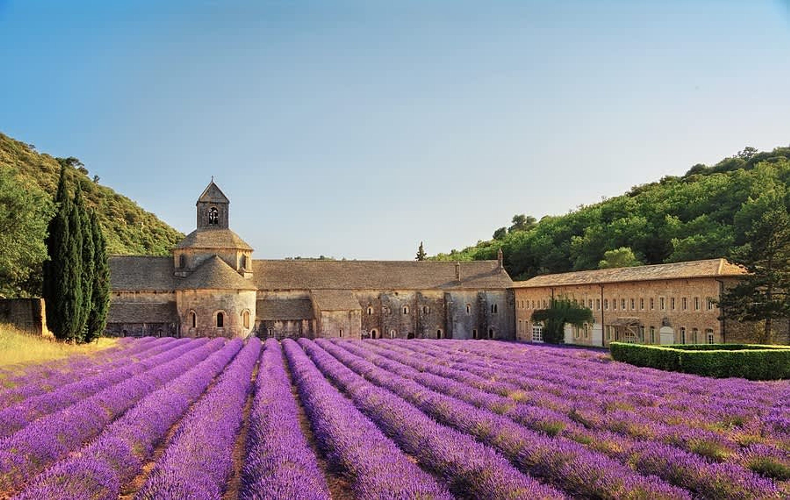 A historic building with a bell tower and a courtyard filled with lavender fields.