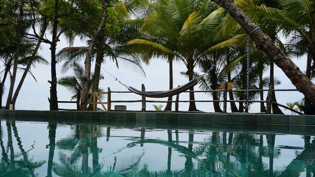 Una piscina con una hamaca y palmeras al fondo.