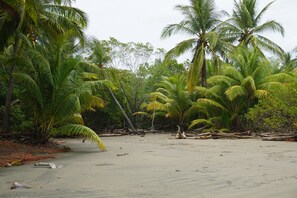 Beach nearby, beach towels
