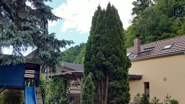 Casa | Área da propriedade