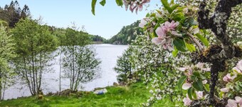 1 bedroom lovely apartment in Lindesnes