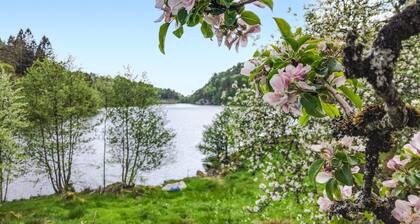 1 bedroom lovely apartment in Lindesnes