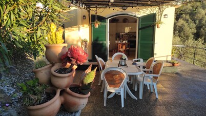 Detached cottage surrounded by greenery just minutes from the sea.