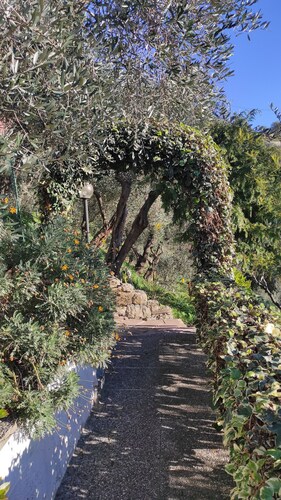 Detached cottage surrounded by greenery just minutes from the sea.