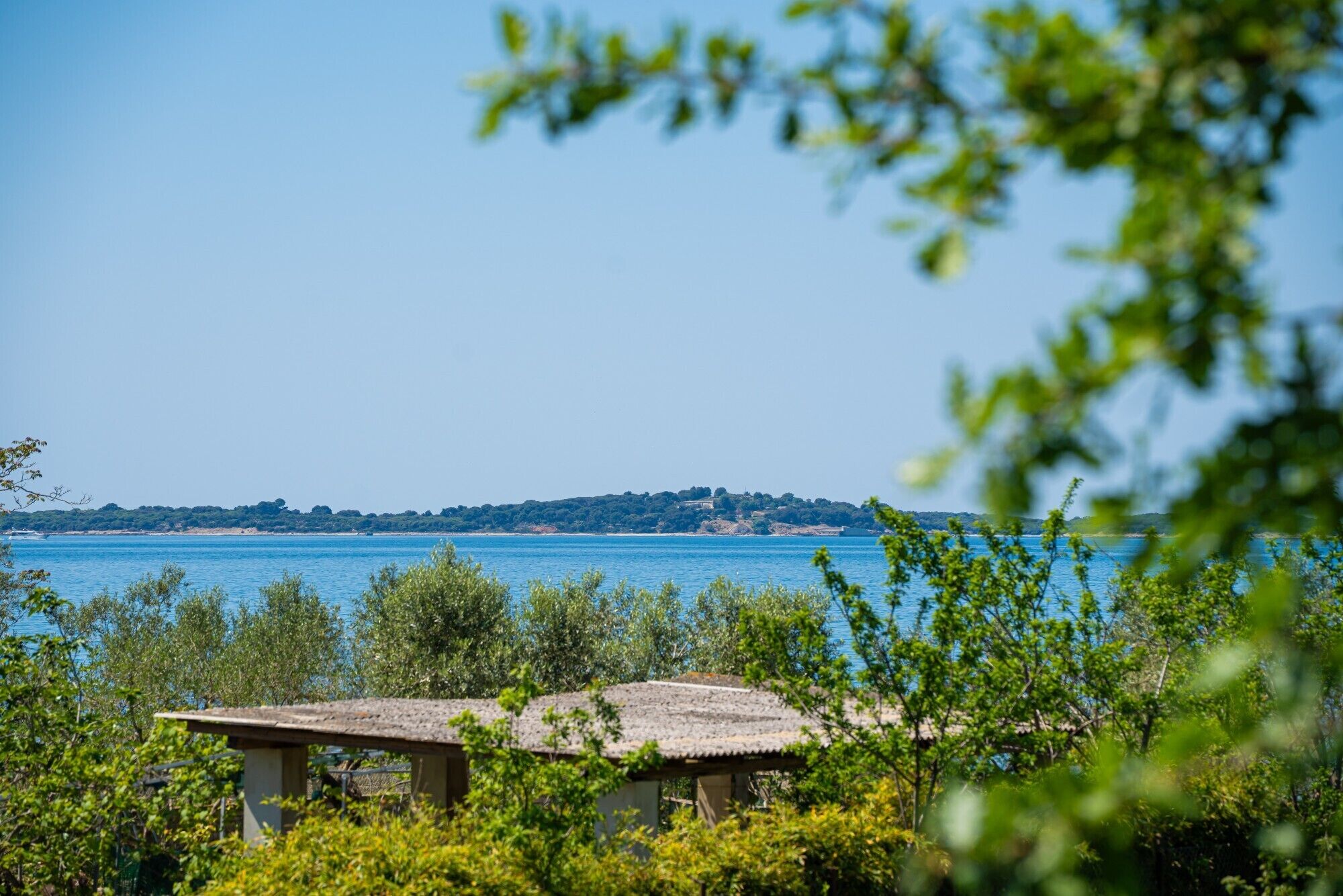 Un bâtiment rustique, doté d’un toit de chaume, entouré d’une végétation luxuriante et offrant une vue sur une étendue d’eau calme, avec une rive lointaine.