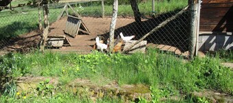 "Geistalblick" - large, bright vacation apartment for up to 6 people near Bad Hersfeld