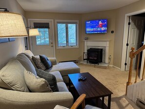 Televisión, chimenea y reproductor de DVD 