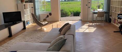 Smart TV, caminetto, monitor per computer