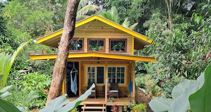 Charming Tiny House, 1 minute walk to surf and beaches, peaceful.