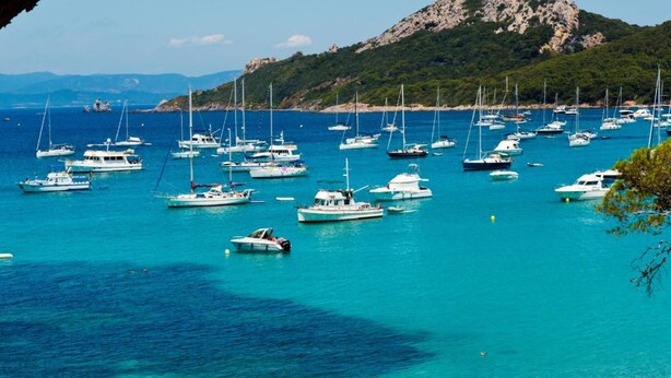 A marina with numerous boats docked, surrounded by a mountainous landscape. - Le toit du Port : Terraces/Pool/Clim/Parking (Hyères)