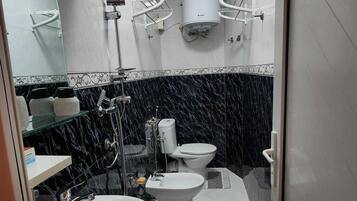 Shower, hair dryer, bidet, towels