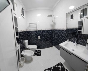 Shower, hair dryer, bidet, towels