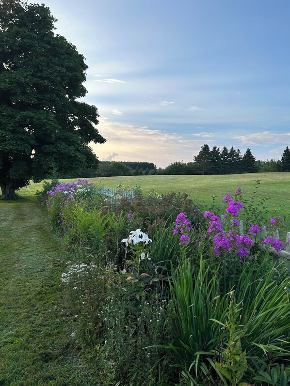 Property grounds - Charming 3-bedroom Home w/ WiFi, AC in Adorable Hampton-Victoria by the Sea (Crapaud)