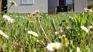 Unclassified image, 2 of 19, button - Home Away Apartment Near Dubrovnik (Zupa dubrovacka)