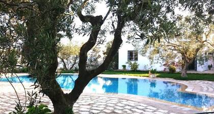 Deux bungalows avec grande piscine privée et jardin 1000m2 à Hammamet