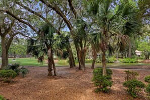 Àrea exterior de l'allotjament