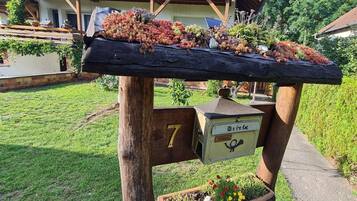 House | Property grounds