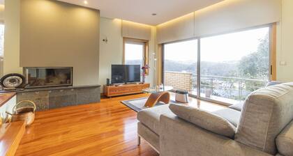 Gorgeous Villa Looking to Douro