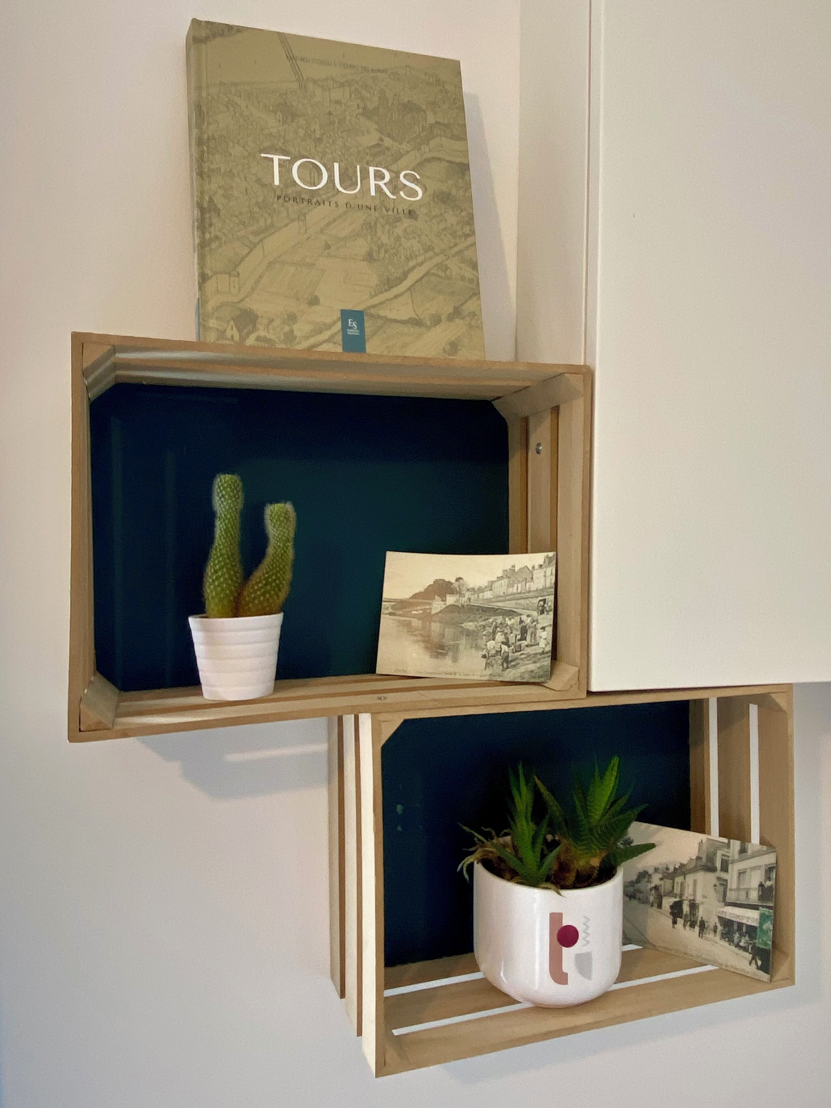 A wall with two wooden shelves, each holding a framed book, a potted plant, and a small cactus.