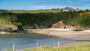 A coastal landscape with a sandy beach, rocky cliffs, and a grassy field.