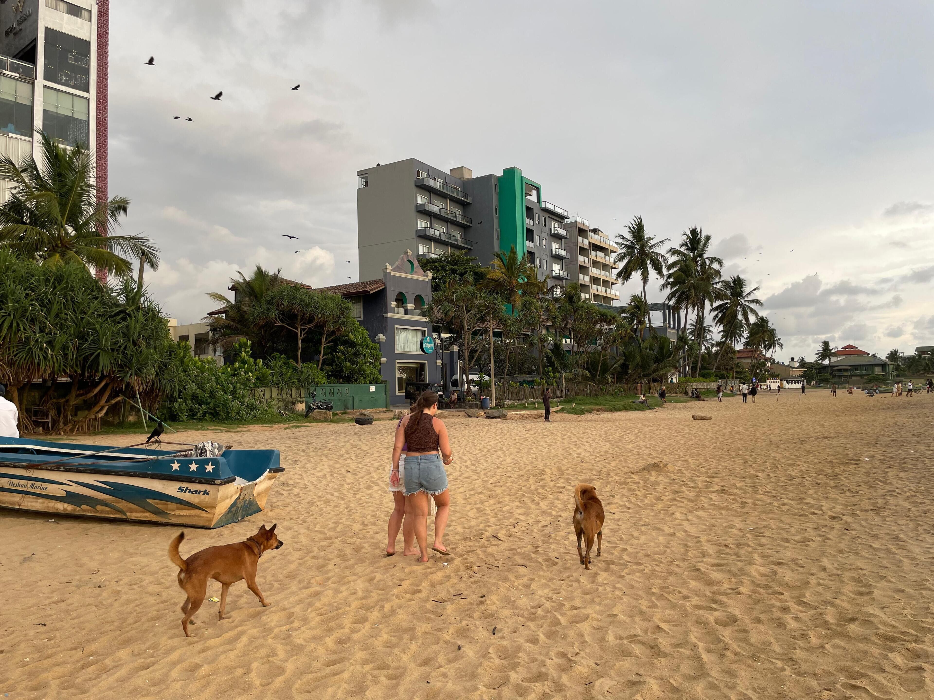 Photo - BlissFam Villa & Hostel