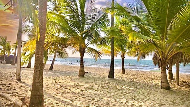 A sandy beach with palm trees and the ocean in the background. - Apartasuite near the sea - Coveñas (Coveñas)
