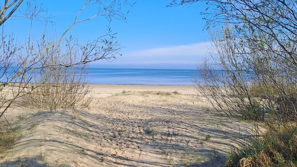 A sandy beach path leading to the ocean, surrounded by sparse vegetation. - Cozy apt, 100m beach, AC, workstation, balcony, backyard, self check-in, yogamat (Jūrmala)