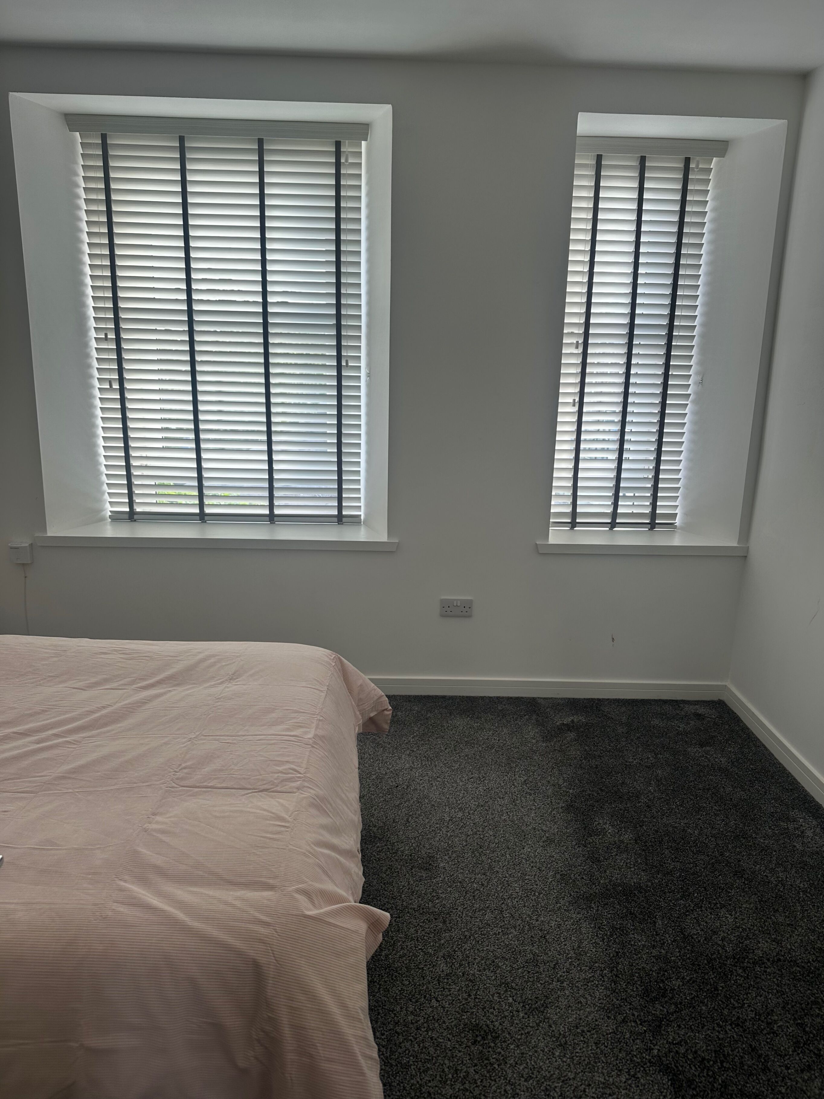 A bedroom with two windows, a bed, and a carpeted floor.