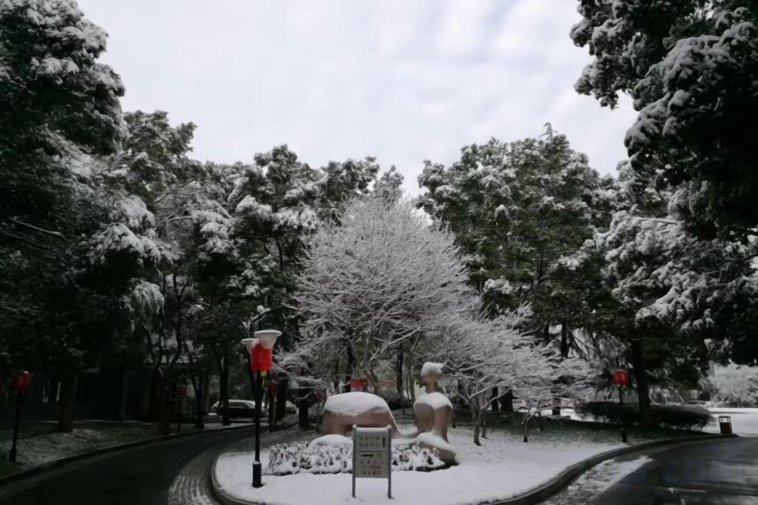 Un parc enneigé, avec des arbres et un sentier.