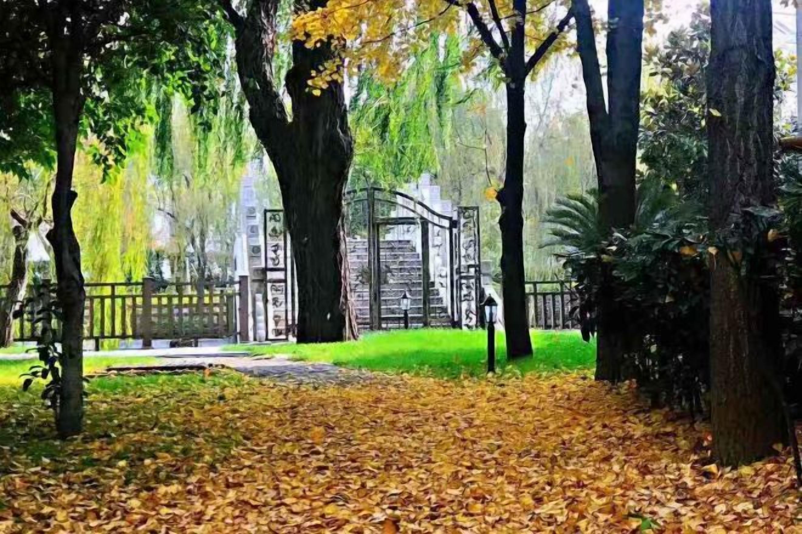 A park with trees, a pathway, and a fence.