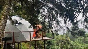 A treehouse with a wooden staircase and a white tent-like structure.