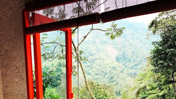 A room with a large window overlooking a lush forested landscape.