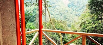 Finca Montaña Magica